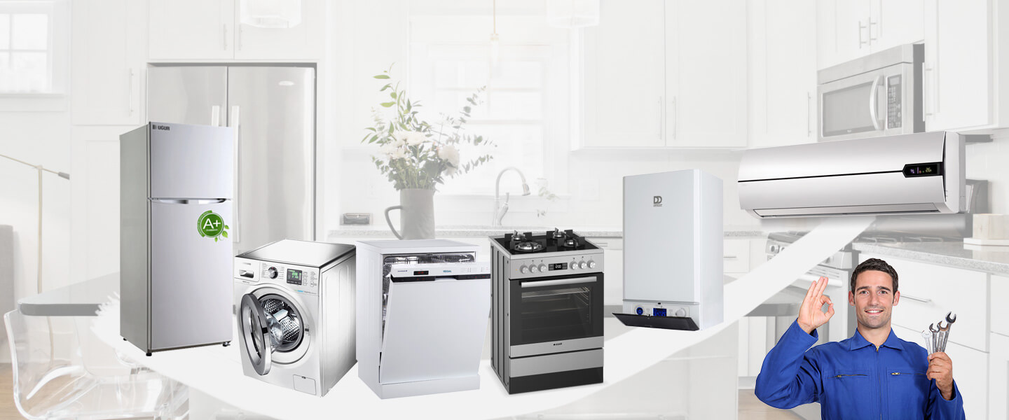 Bostanlı Grundig Servisi